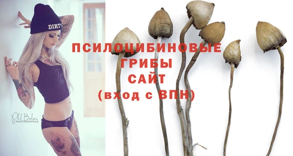 MDMA Premium VHQ Беломорск