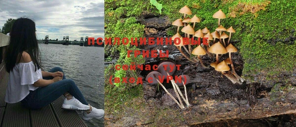 гашик Белоозёрский