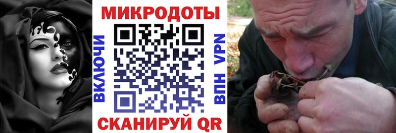 как найти закладки  Чадан  Галлюциногенные грибы Psilocybine cubensis 